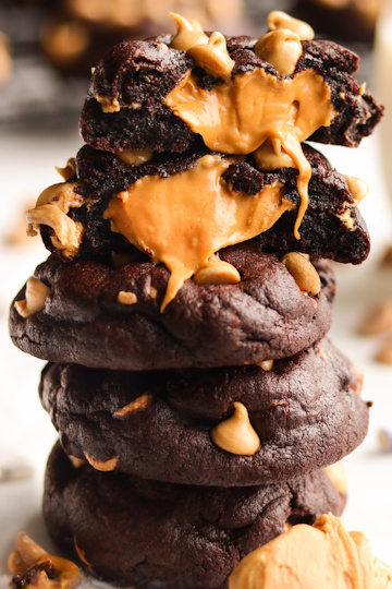 Cocoa Peanut Palance Cookie